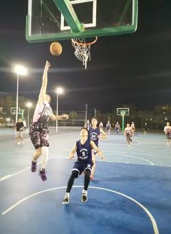 0acbbaba55c55984de47386ba36ea87